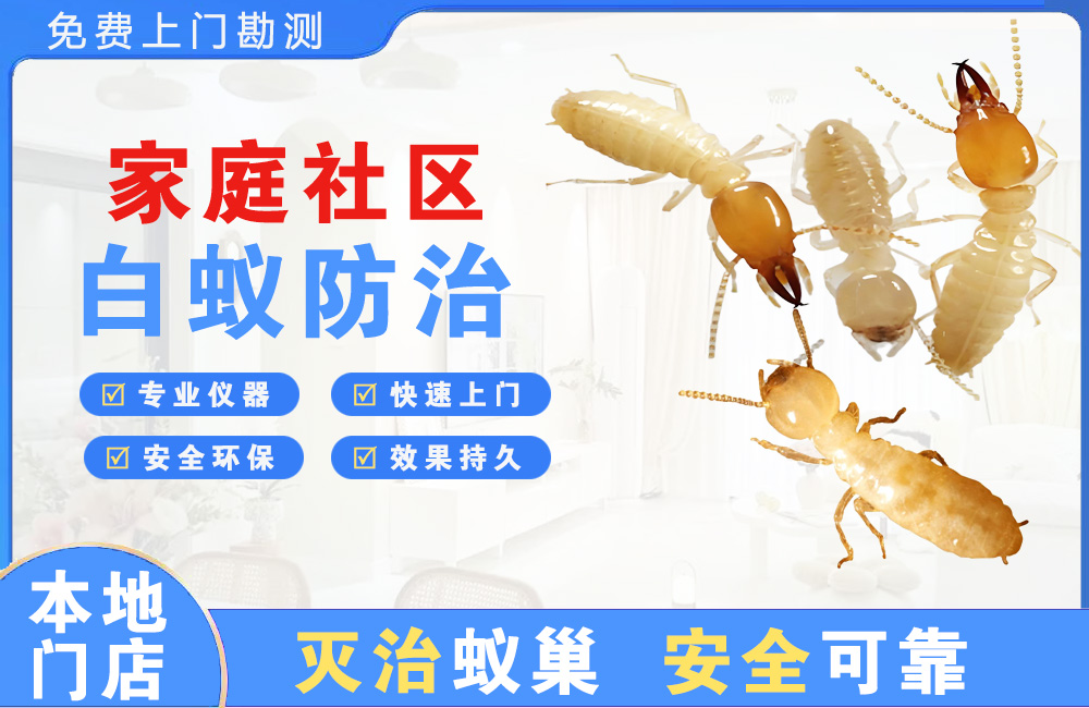 吉安家庭社区白蚁防治