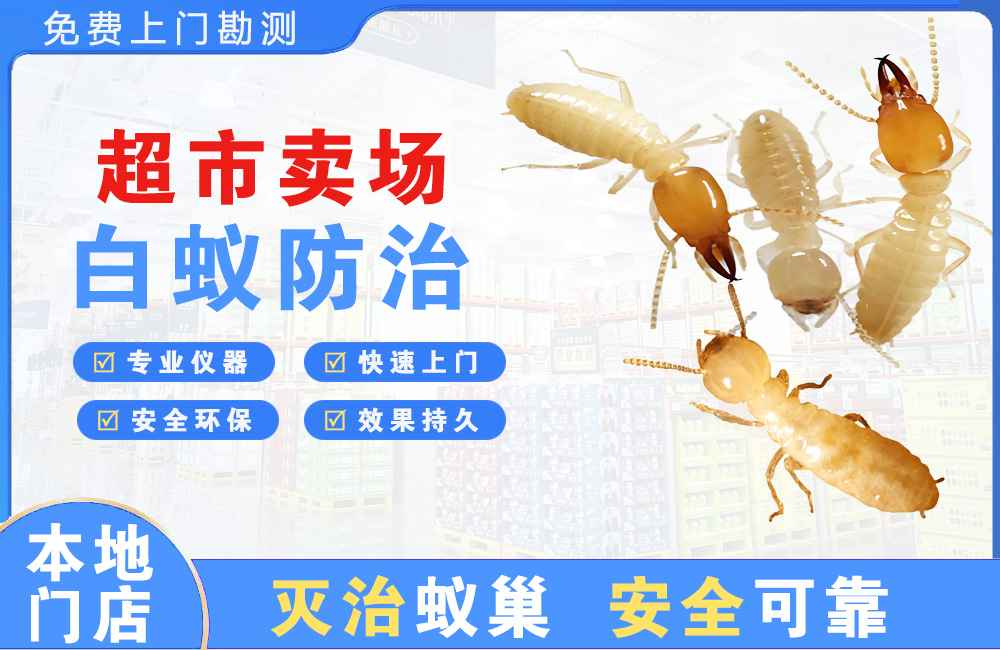 吉安超市卖场白蚁防治