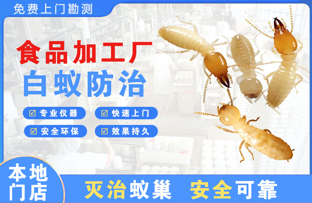 吉安食品加工厂白蚁防治