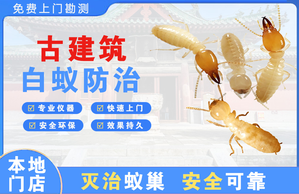 吉安古建筑白蚁防治