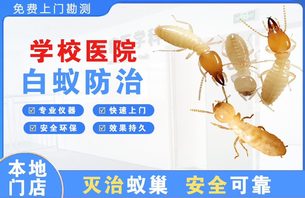 吉安学校医院白蚁防治