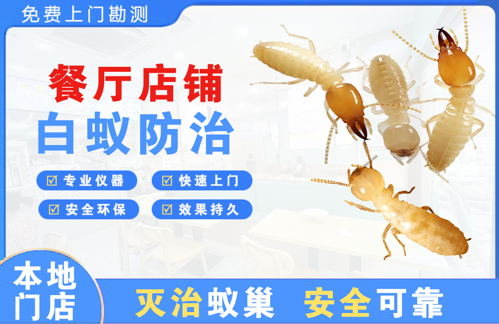 吉安餐厅店铺白蚁防治